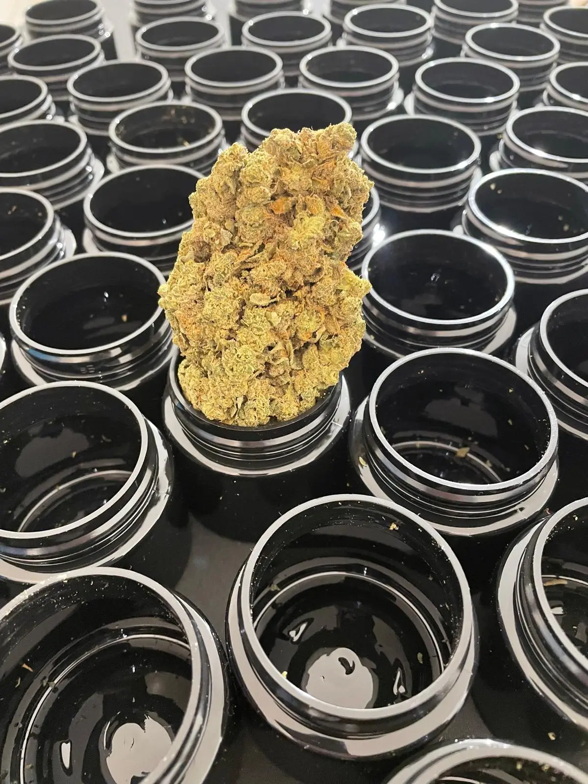 Harvest quality